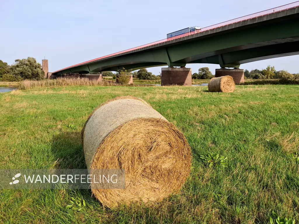 202310110-30 - Autobahnbrücke über die Elbe bei Vockerode, Anhalt-Dessau-Wittenberg, Sachen-Anhalt, Deutschland