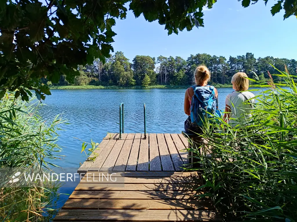 202508160-18 - Badesteg am Großen Mahlgastsee bei Röddelin, Uckermark, Brandenburg, Deutschland