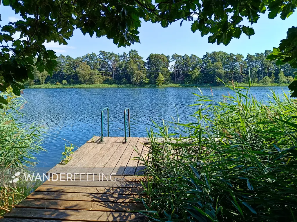 202508160-19 - Badesteg am Großen Mahlgastsee bei Röddelin, Uckermark, Brandenburg, Deutschland