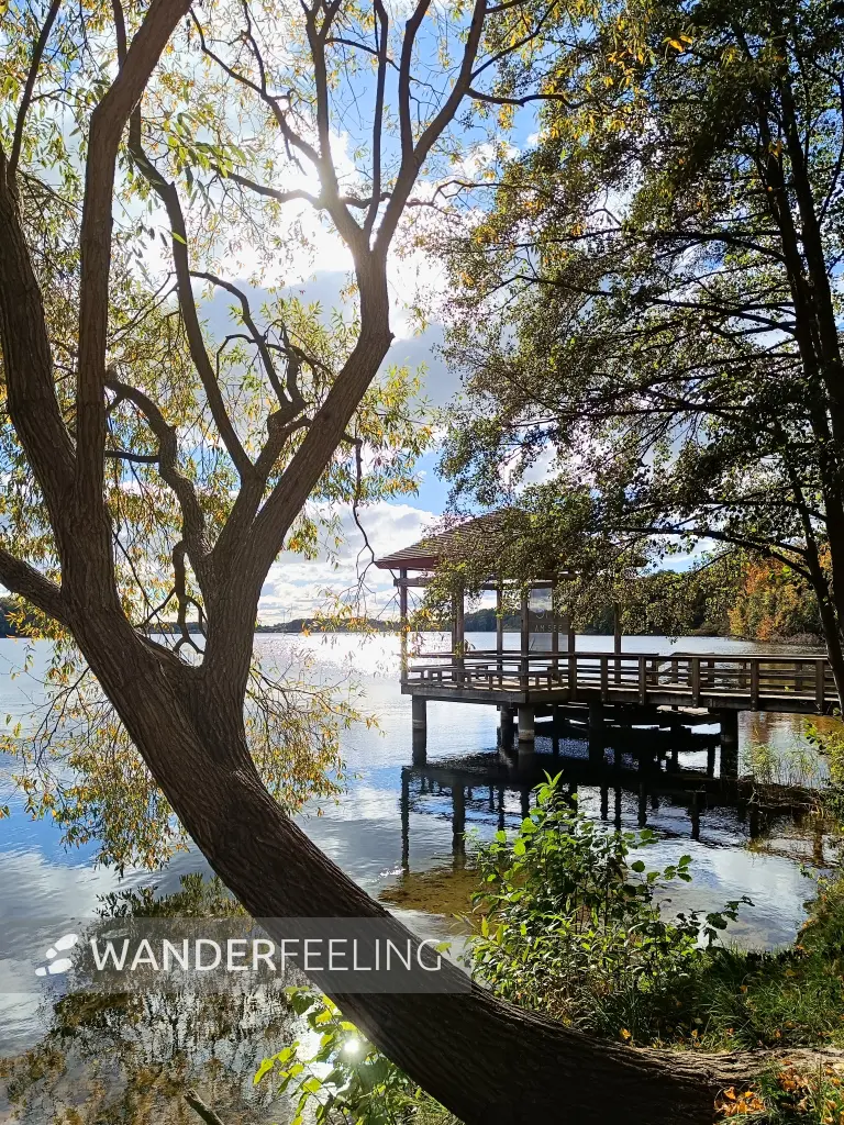 202510180-11 - Badesteg am Tiefwarensee bei Amsee, Mecklenburgische Seenplatte, Mecklenburg-Vorpommern, Deutschland