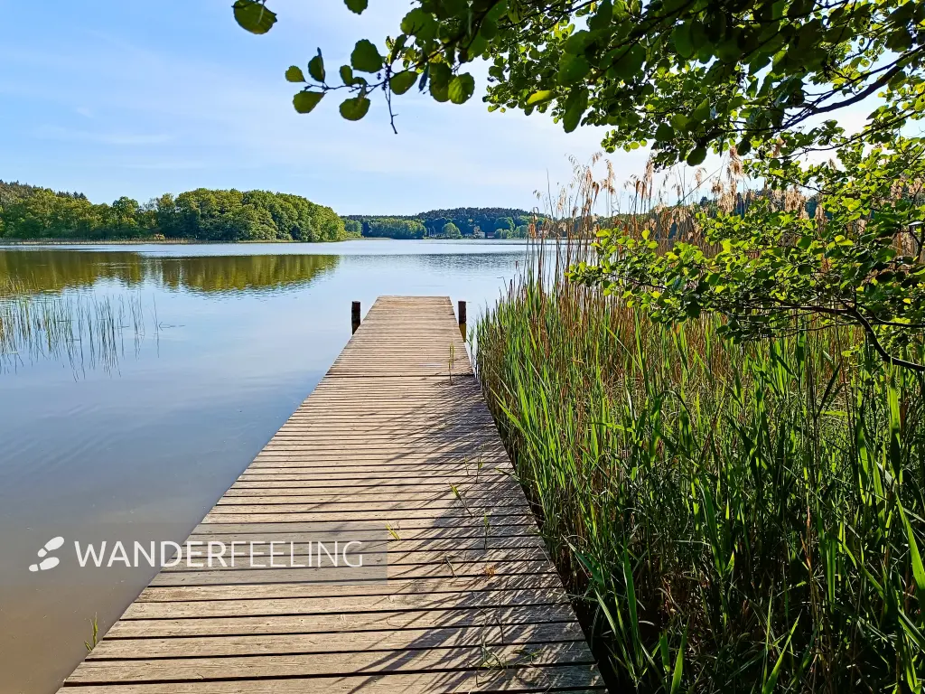 202505130-15 - Badestelle am Dambecker See im Müritz-Nationalpark bei Pieversdorf, Mecklenburgische Seenplatte, Mecklenburg-Vorpommern, Deutschland