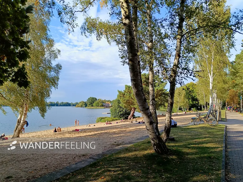 202509210-27 - Badestelle am Großen Müllroser See bei Müllrose, Seenland Oder-Spree, Brandenburg, Deutschland