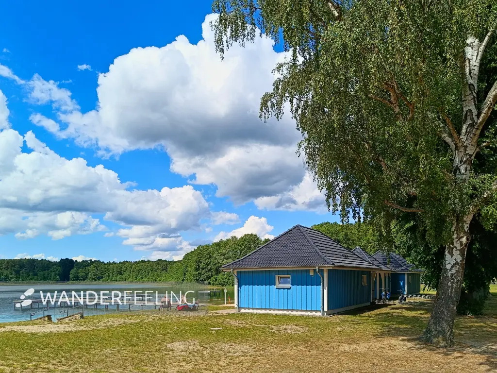 202606060-01 - Badestelle am Großen Weißen See bei Wesenberg, Mecklenburgische Seenplatte, Mecklenburg-Vorpommern, Deutschland