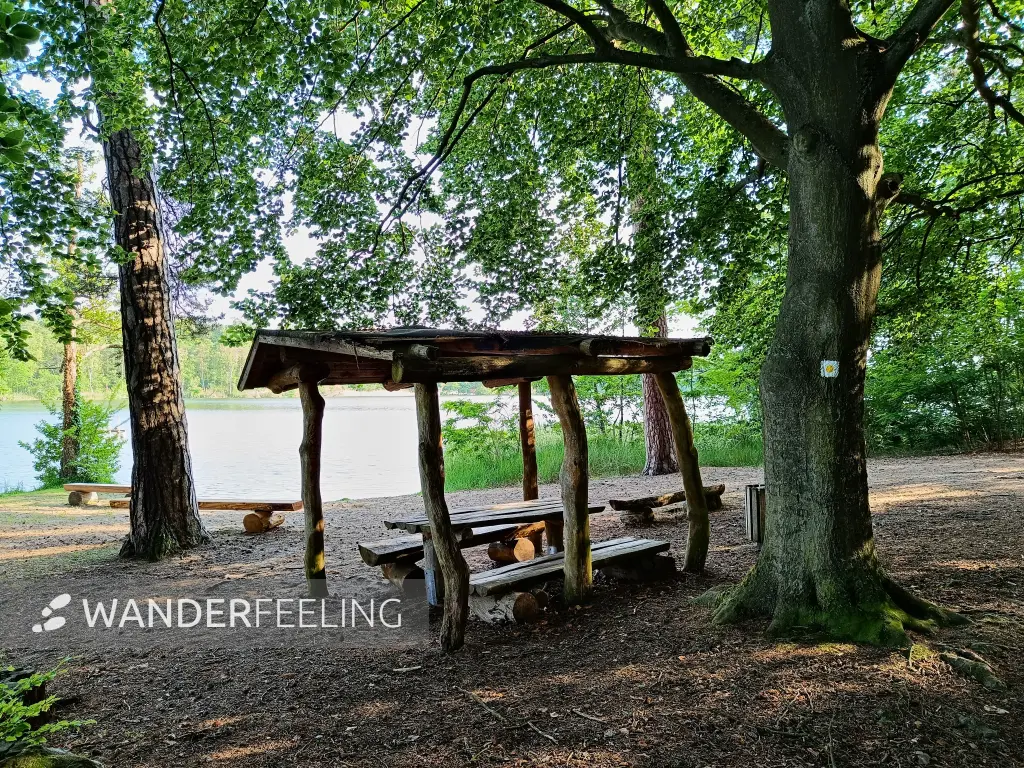 202506110-48 - Badestelle am Haussee bei Himmelpfort, Ruppiner Seenland, Brandenburg, Deutschland