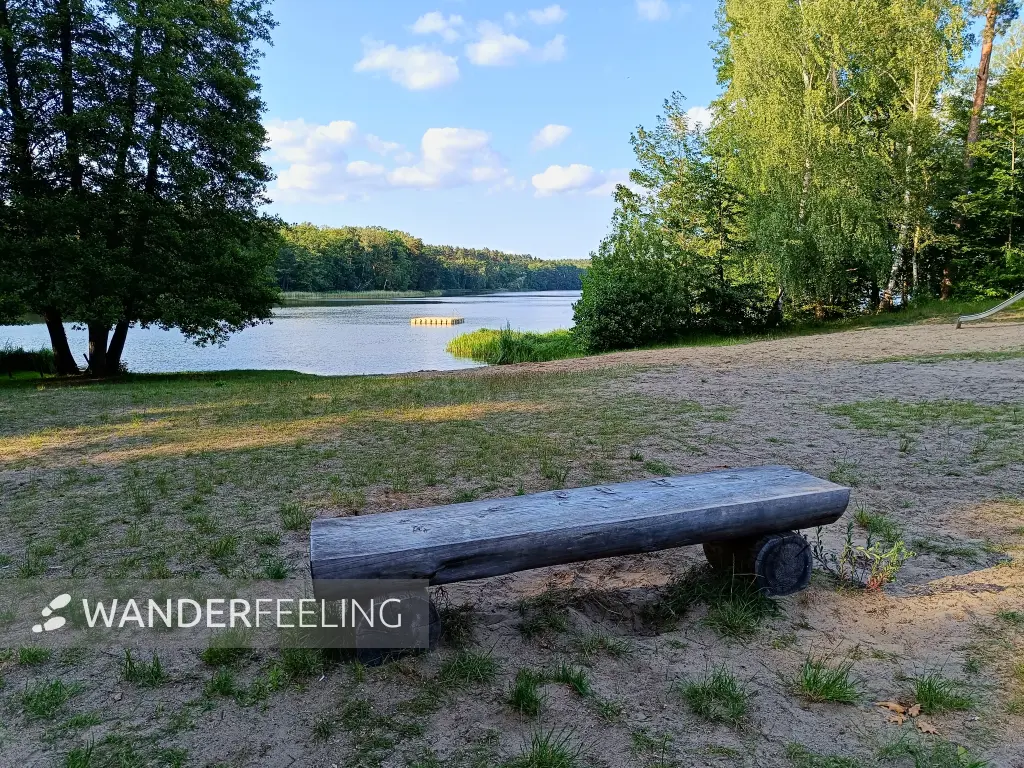 202506110-55 - Badestelle am Moderfitzsee bei Himmelpfort, Ruppiner Seenland, Brandenburg, Deutschland