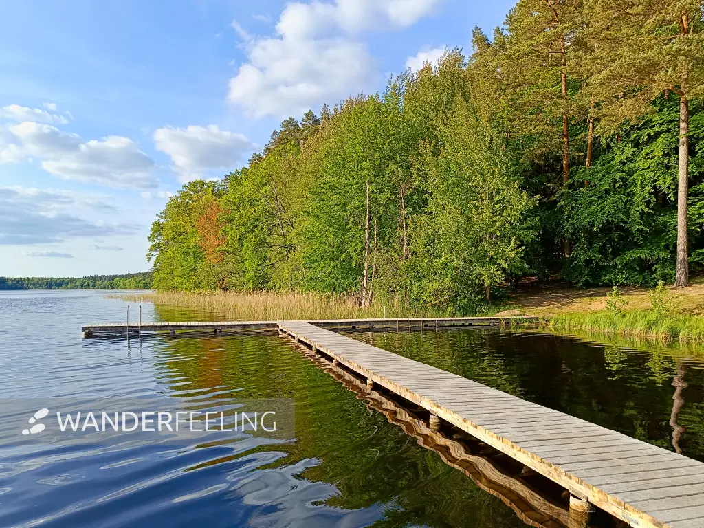 202505130-33 - Badestelle am Mühlensee im Müritz-Nationalpark, Mecklenburgische Seenplatte, Mecklenburg-Vorpommern, Deutschland