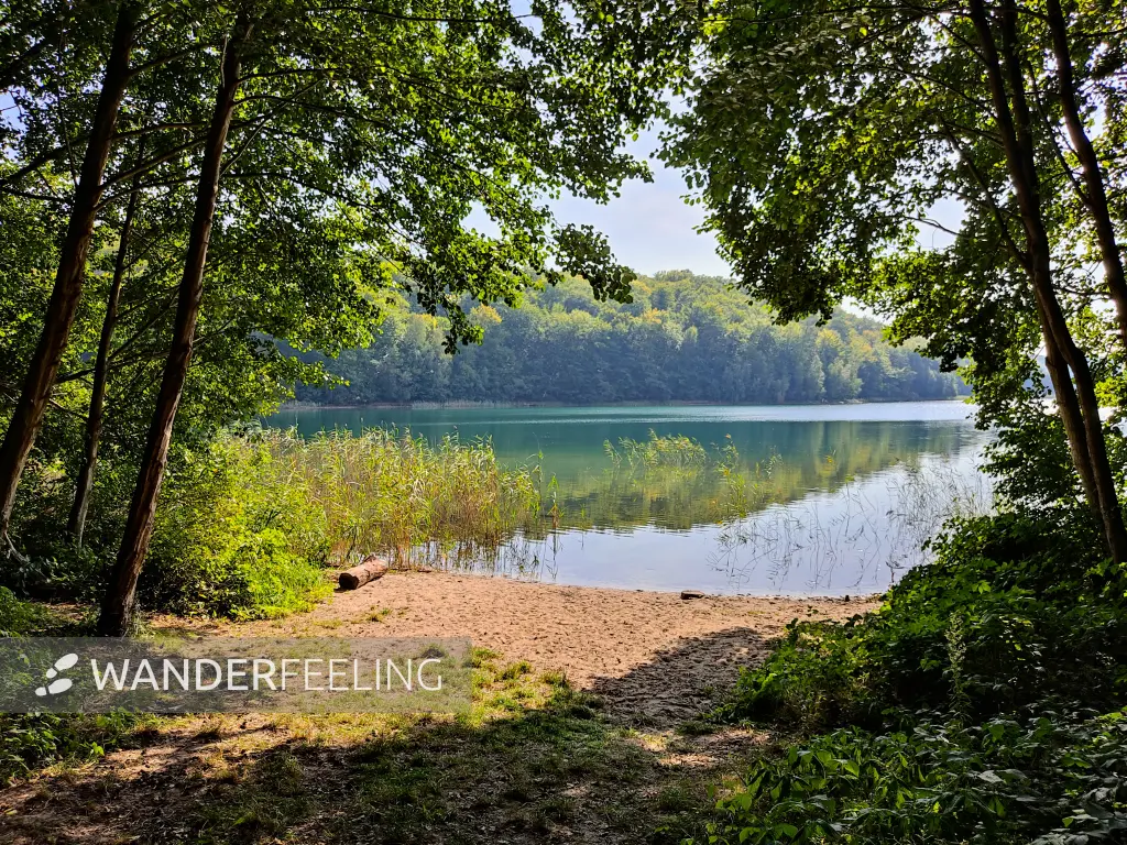 202309110-15 - Badestelle am Peetschsee bei Steinförde, Ruppiner Seenland, Brandenburg, Deutschland