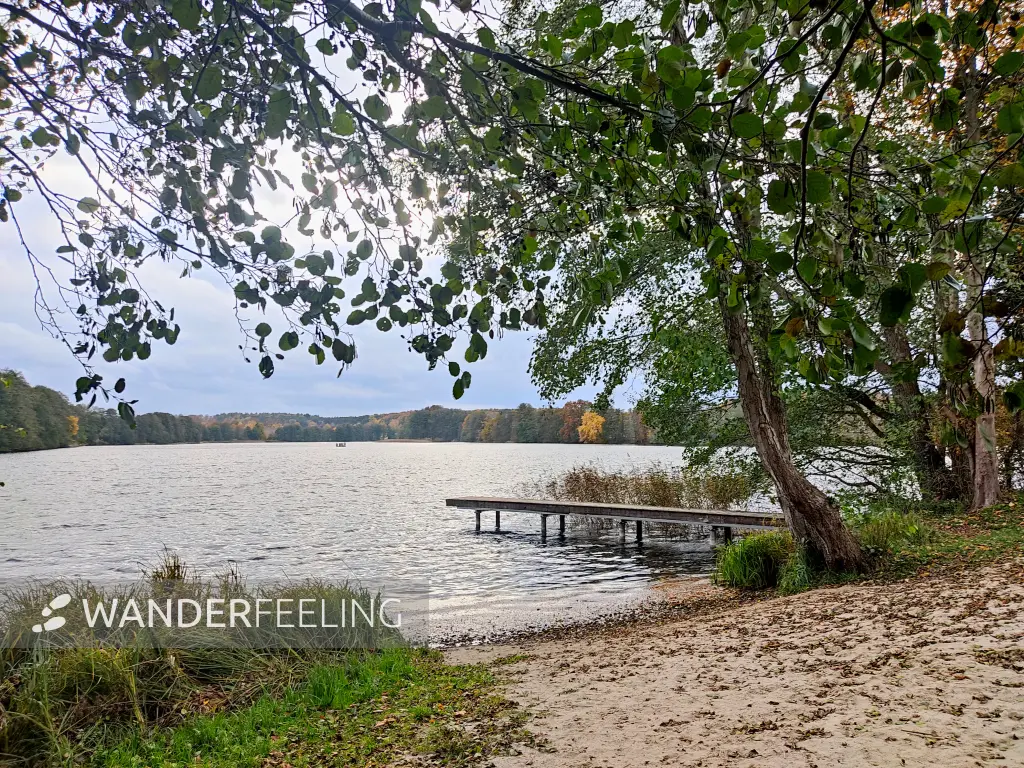202311060-43 - Badestelle am Schliesersee bei Carpin, Mecklenburgische Seenplatte, Mecklenburg-Vorpommern, Deutschland