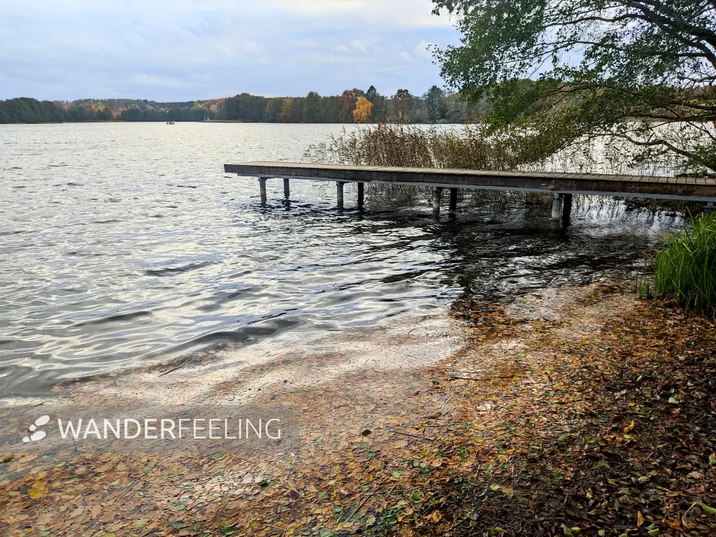 202311060-44 - Badestelle am Schliesersee bei Carpin, Mecklenburgische Seenplatte, Mecklenburg-Vorpommern, Deutschland