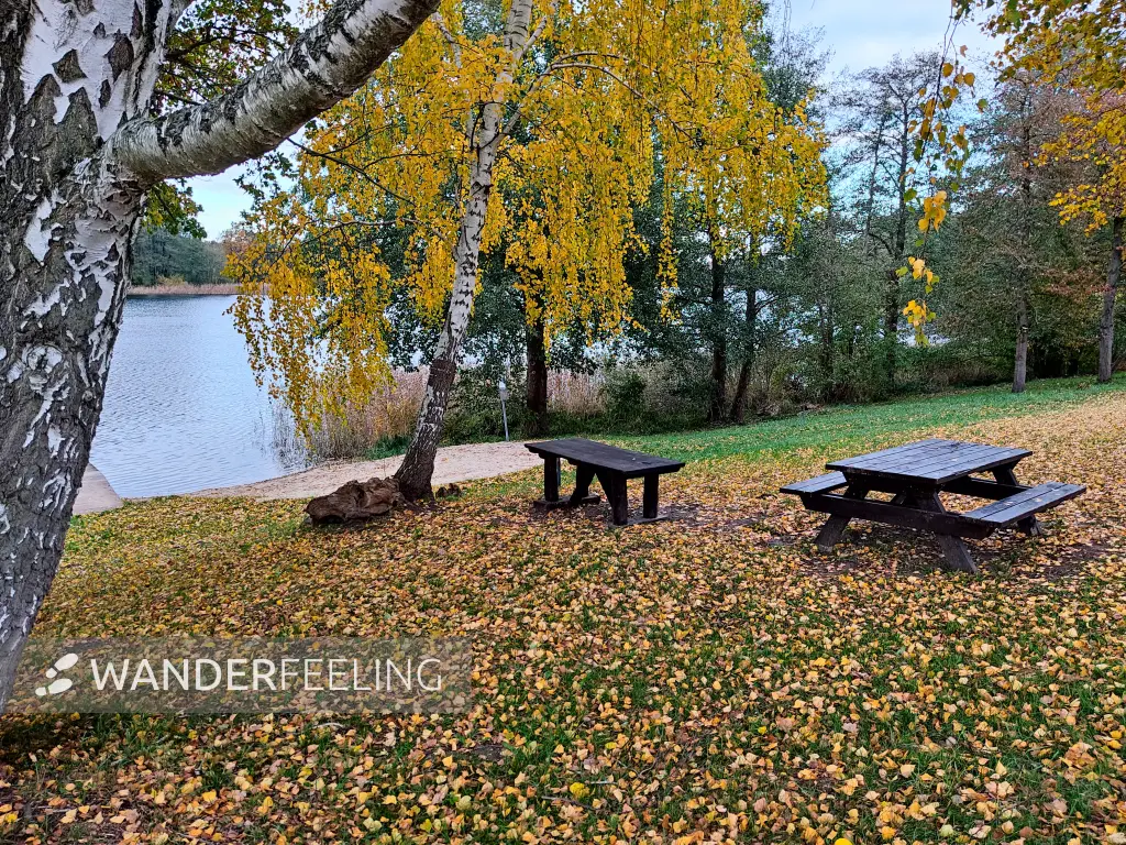 202311060-48 - Badestelle am Schliesersee bei Carpin, Mecklenburgische Seenplatte, Mecklenburg-Vorpommern, Deutschland