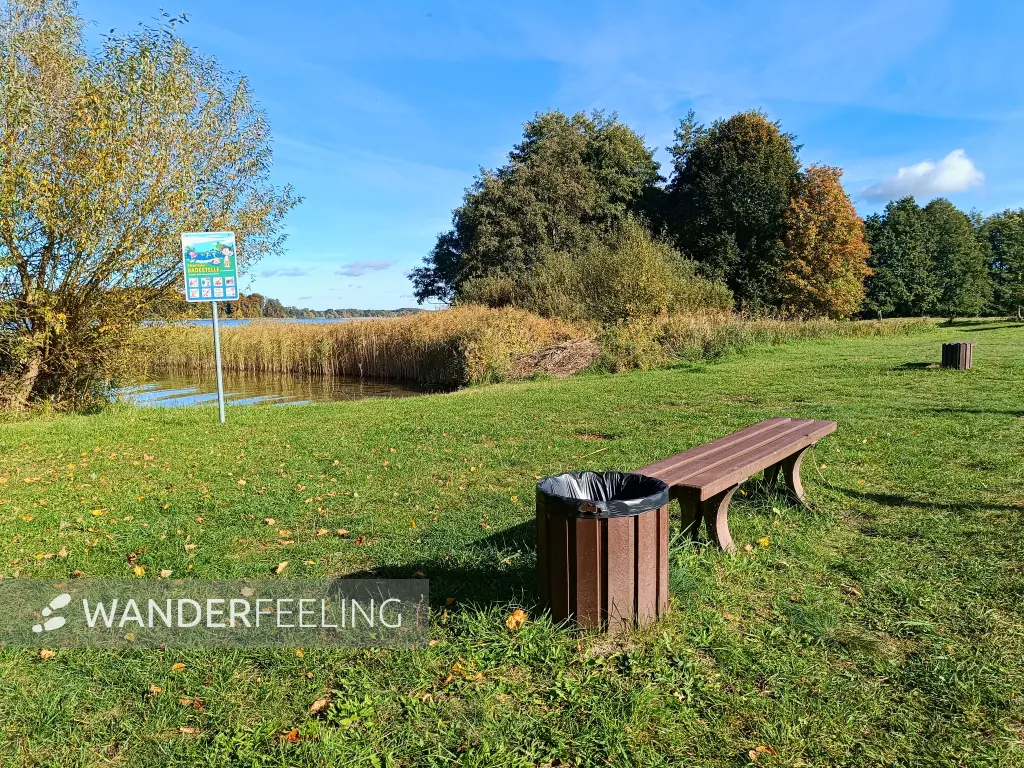 202510130-16 - Badestelle auf der Insel Schwerin bei Krakow am See, Mecklenburgische Seenplatte, Mecklenburg-Vorpommern, Deutschland