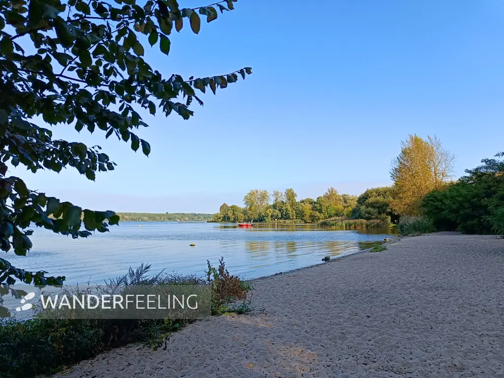 202509270-07 - Badestelle Große Steinlanke an der Havel, Berlin, Deutschland