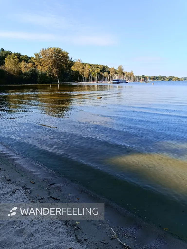 202509270-08 - Badestelle Große Steinlanke an der Havel, Berlin, Deutschland