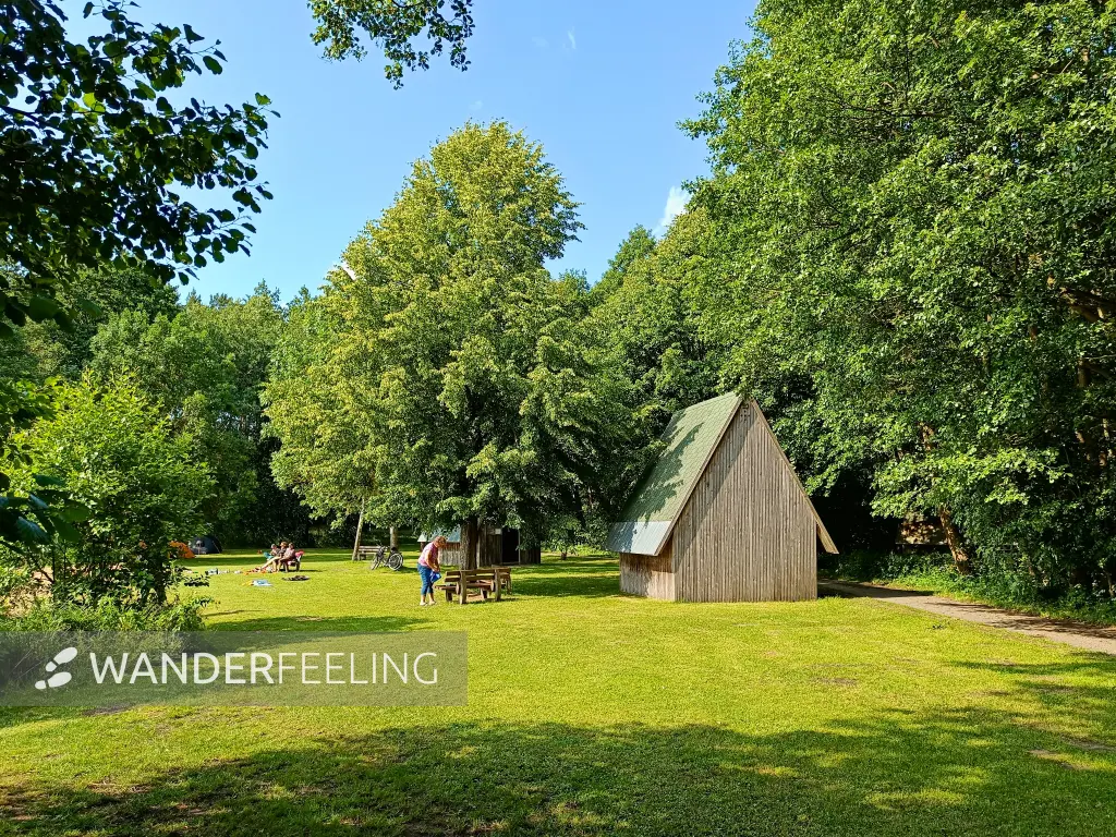 202506110-21 - Badestelle und Biwakplatz am Haussee bei Pian, Ruppiner Seenland, Brandenburg, Deutschland