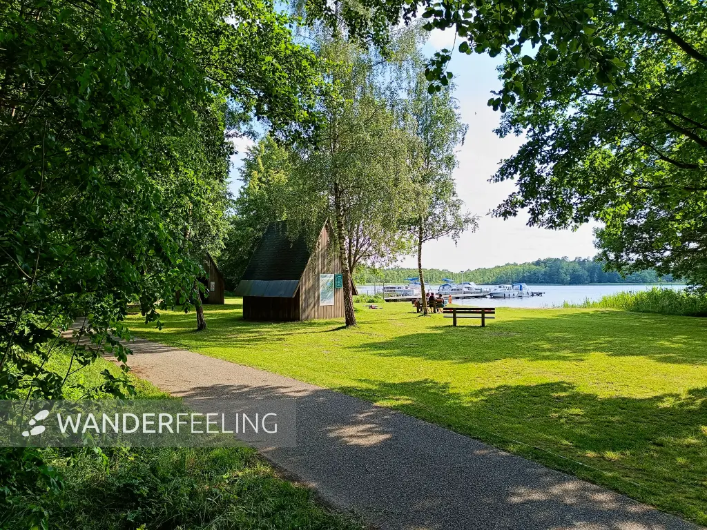 202506110-22 - Badestelle und Biwakplatz am Haussee bei Pian, Ruppiner Seenland, Brandenburg, Deutschland