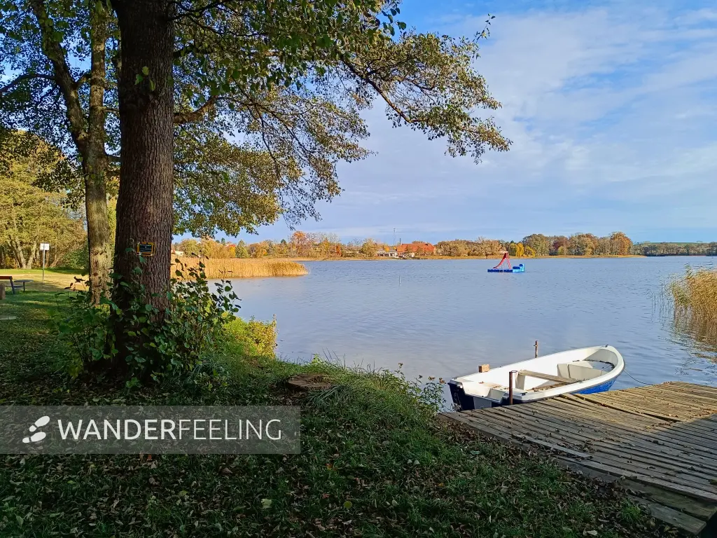 202511050-10 - Badewiese am Groß Labenzer See bei Klein Labenz, Mecklenburgische Seenplatte, Mecklenburg-Vorpommern, Deutschland