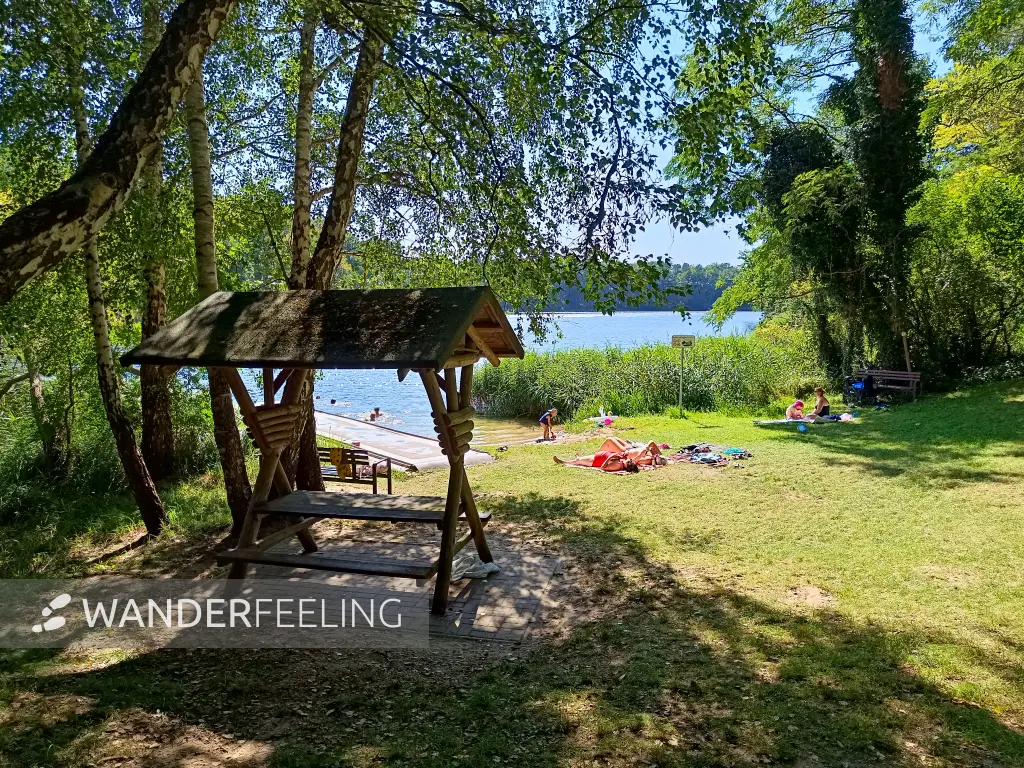 202508160-22 - Badewiese am Großen Mahlgastsee bei Röddelin, Uckermark, Brandenburg, Deutschland