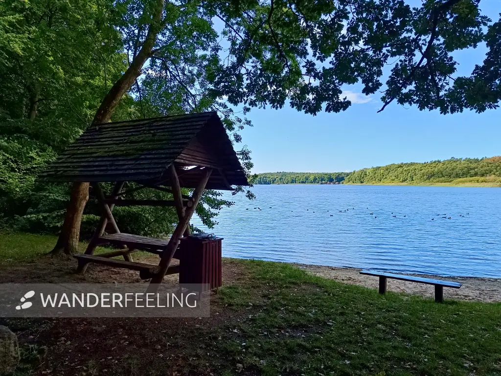 202509120-42 - Badewiese am Petersdorfer See, Mecklenburgische Seenplatte, Mecklenburg-Vorpommern, Deutschland
