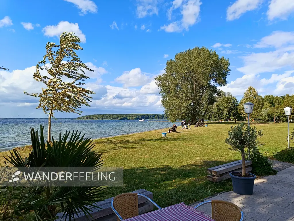 202509120-31 - Badewiese am Plauer See bei Lenz, Mecklenburgische Seenplatte, Mecklenburg-Vorpommern, Deutschland