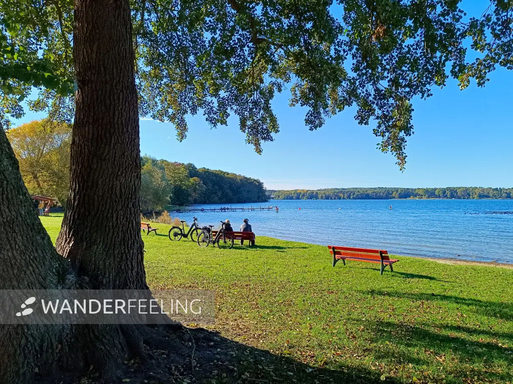 202610190-15 - Badewiese am Scharmützelsee bei Diensdorf, Seenland Oder-Spree, Brandenburg, Deutschland