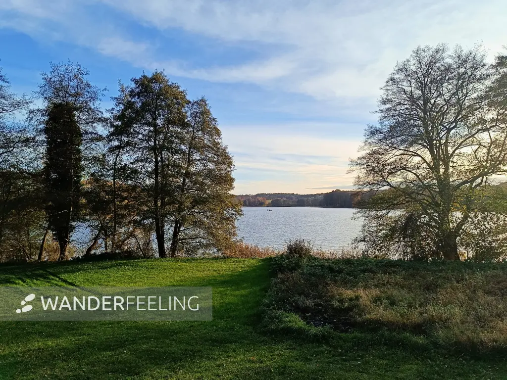 202511040-23 - Badewiese am Schlesersee bei Carpin, Mecklenburgische Seenplatte, Mecklenburg-Vorpommern, Deutschland