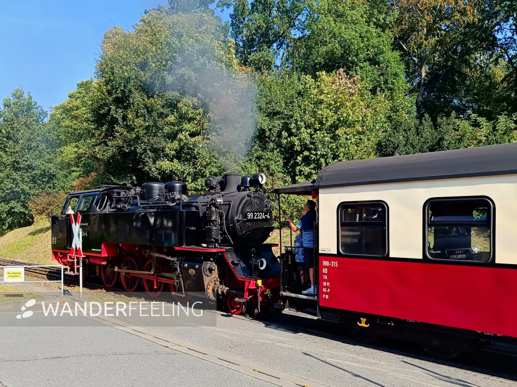 202409030-03 - Bäderbahn Molli in Bad Doberan, Mecklenburg-Vorpommern, Deutschland
