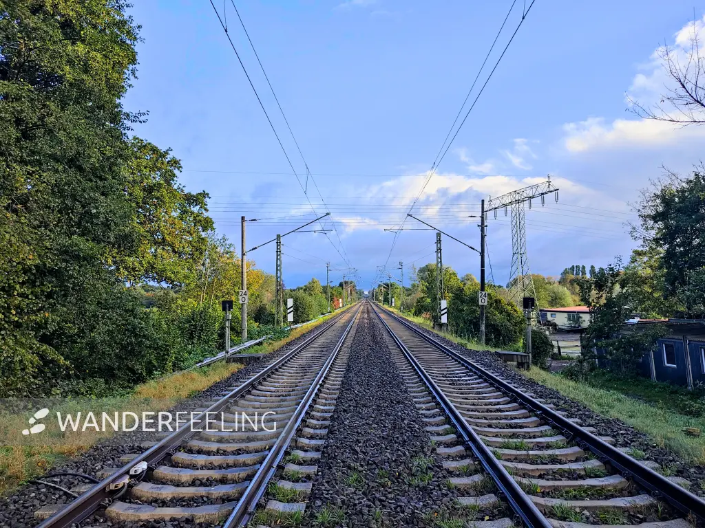 202310140-03 - Bahngleise bei Bergholz, Potsdam, Brandenburg, Deutschland