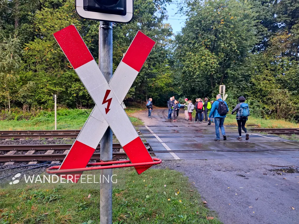 202310140-02 - Bahnübergang bei Bergholz, Potsdam, Brandenburg, Deutschland