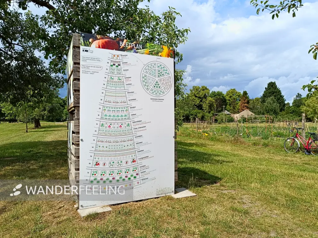 202506070-09 - Bauerngarten im Botanischen Volkspark Pankow, Berlin, Deutschland