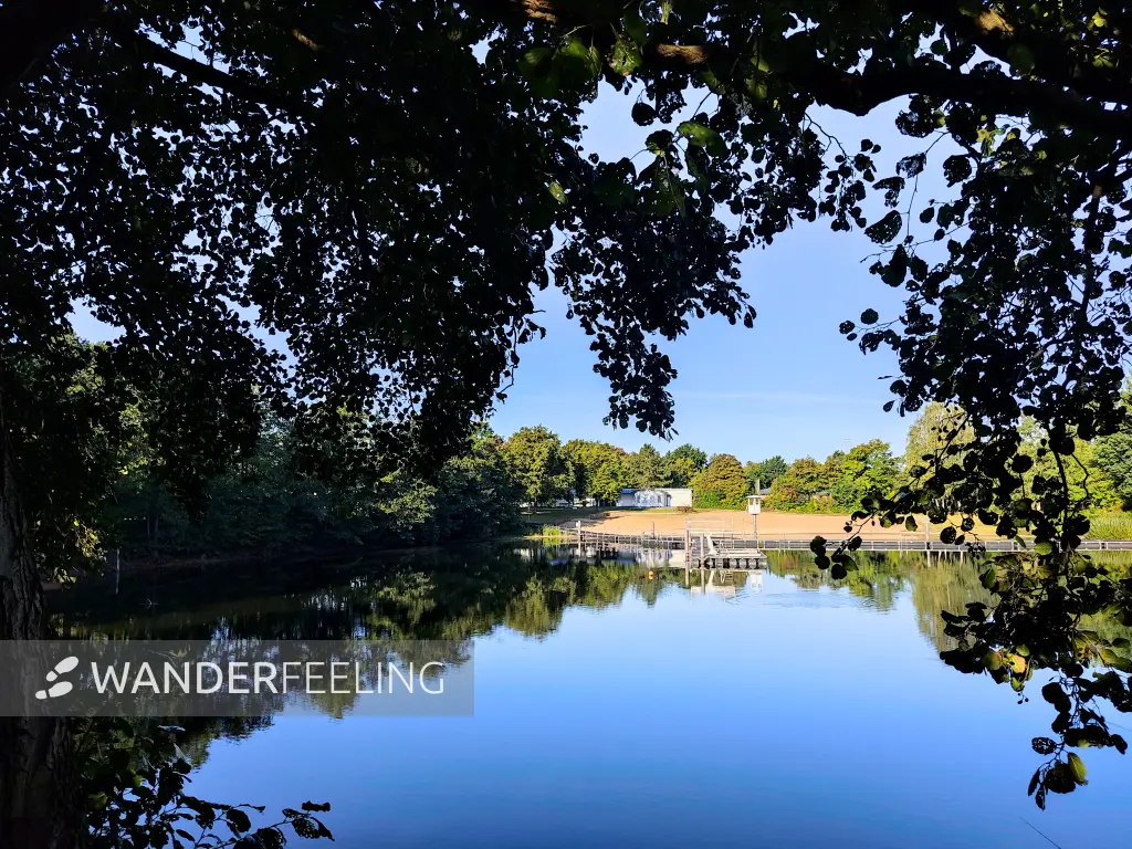 202309240-08 - Beckersbergsee im Bürgerpark Henstedt-Ulzburg, Schleswig-Holstein, Deutschland