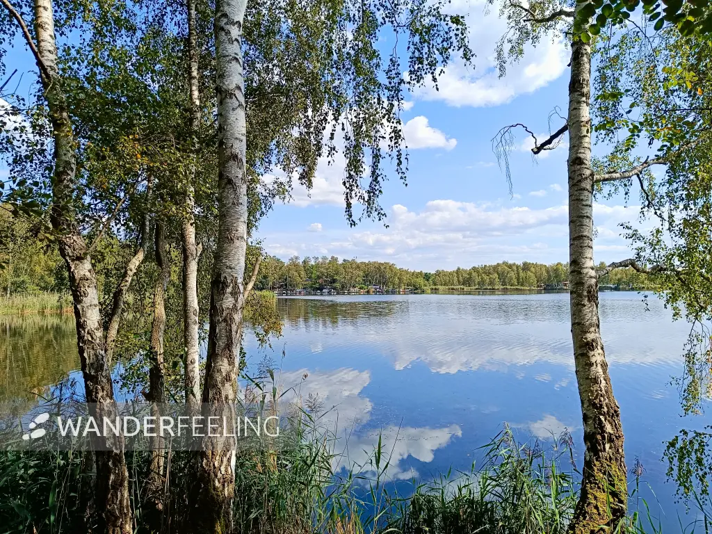 202408260-10 - Bergwitzsee, Anhalt-Dessau-Wittenberg, Sachsen-Anhalt, Deutschland