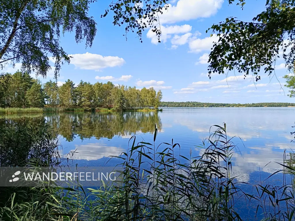 202408260-27 - Bergwitzsee, Anhalt-Dessau-Wittenberg, Sachsen-Anhalt, Deutschland