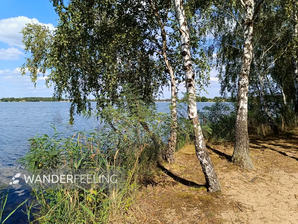 202408260-29 - Bergwitzsee, Anhalt-Dessau-Wittenberg, Sachsen-Anhalt, Deutschland