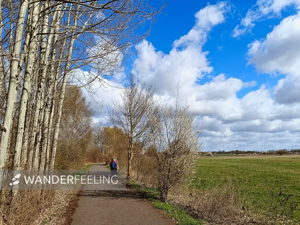 202604060-10 - Berliner Mauerweg bei Blankenfelde, Berlin, Deutschland