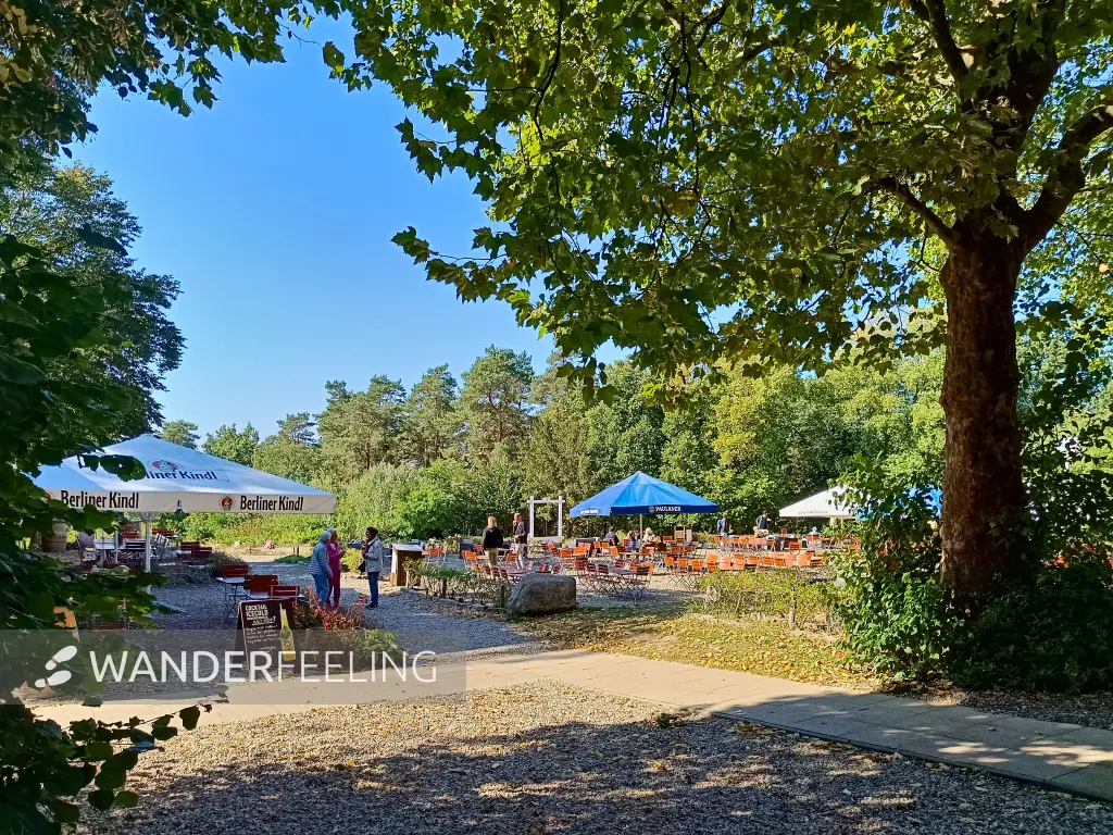 202509270-18 - Biergarten am Grunewaldturm im Grunewald, Berlin, Deutschland