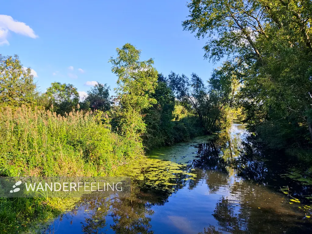 202309241-02 - Bille an der Boberger Niederung, Hamburg, Deutschland