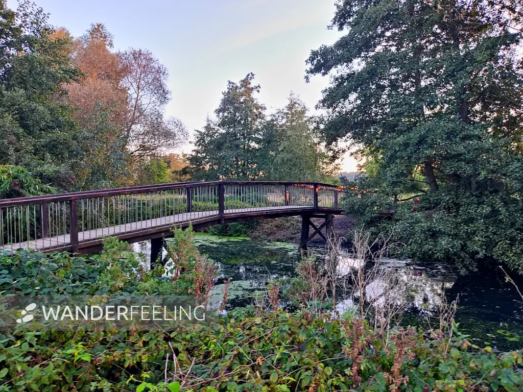 202309241-26 - Bille an der Boberger Niederung, Hamburg, Deutschland