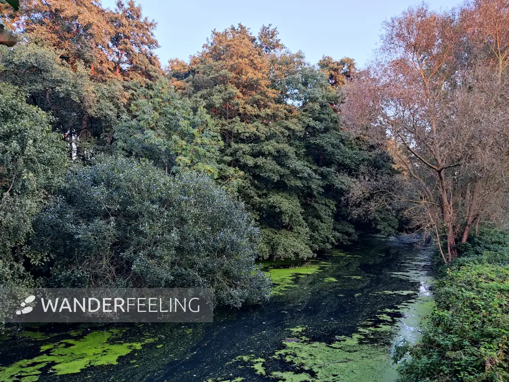 202309241-27 - Bille an der Boberger Niederung, Hamburg, Deutschland
