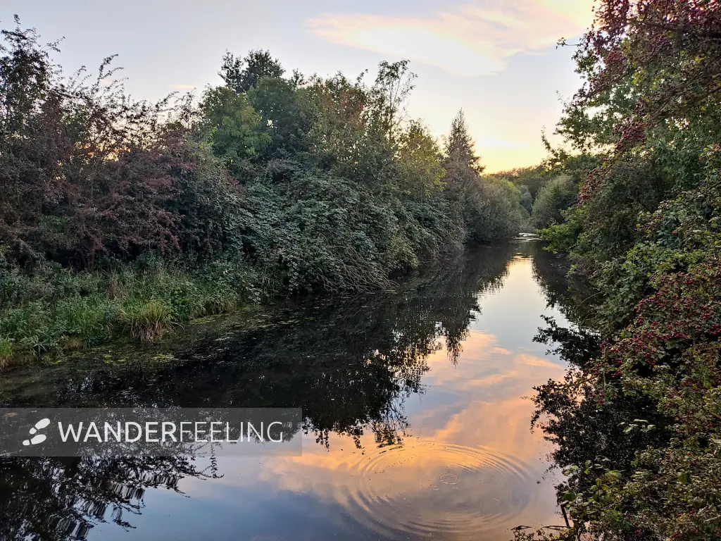 202309241-30 - Bille an der Boberger Niederung, Hamburg, Deutschland