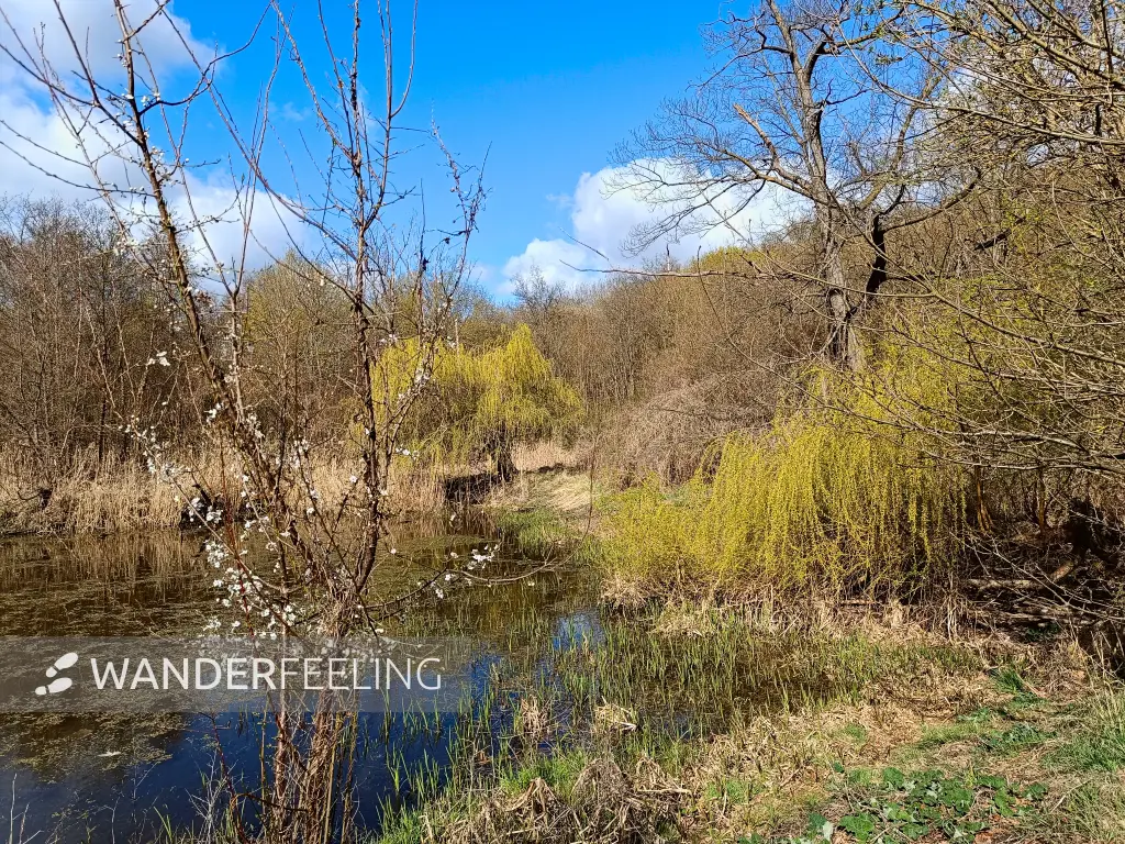 202604060-08 - Birkholzbecken am Freizeitpark Lübars, Berlin, Deutschland