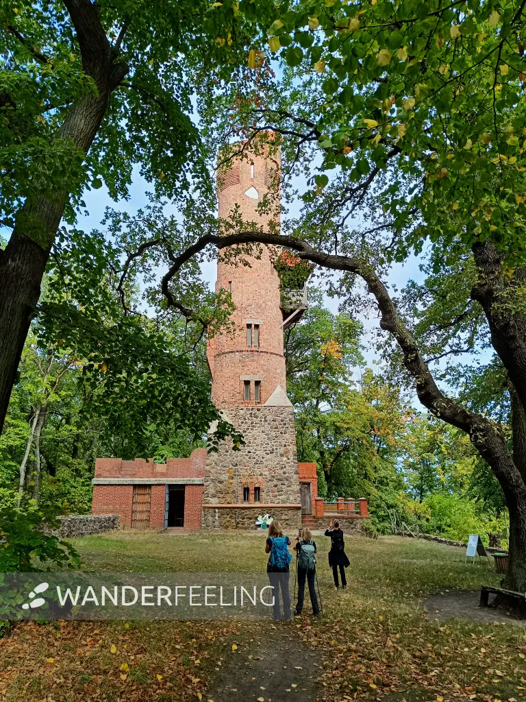 202609190-06 - Bismarckturm bei Bad Freienwalde, Seenland Oder-Spree, Brandenburg, Deutschland