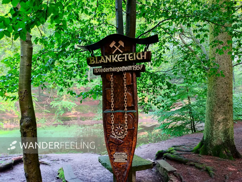 202308180-27 - Blanketeich im Deister, Weserbergland, Niedersachsen, Deutschland