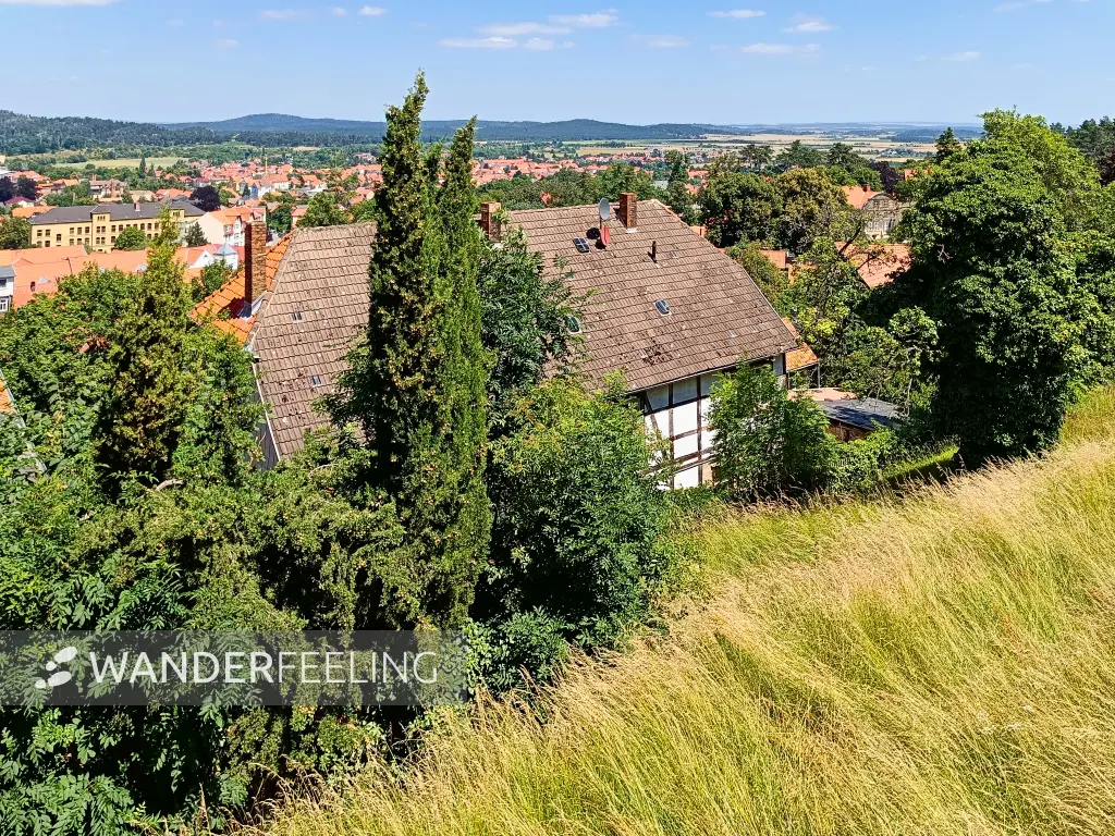 202406250-13 - Blick auf Blankenburg, Harz, Sachsen-Anhalt, Deutschland