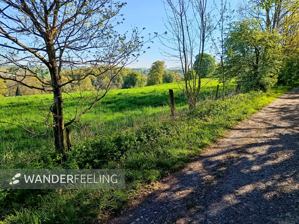 202604230-05 - Blick auf das Düsseltal, Bergisches Land, Nordrhein-Westfalen, Deutschland