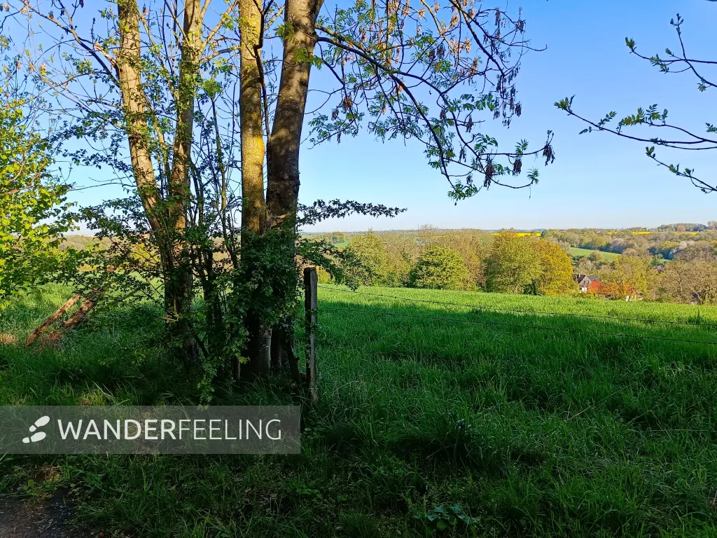 202604230-06 - Blick auf das Düsseltal, Bergisches Land, Nordrhein-Westfalen, Deutschland