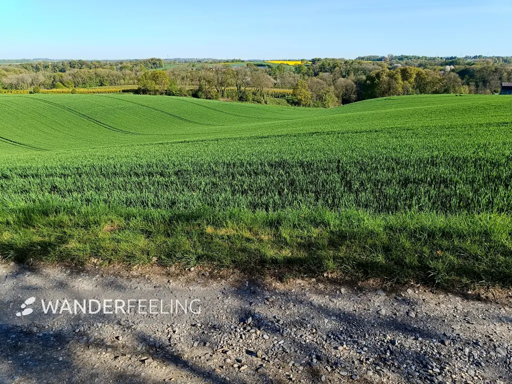 202604230-04 - Blick auf Düsseltal, Bergisches Land, Nordrhein-Westfalen, Deutschland