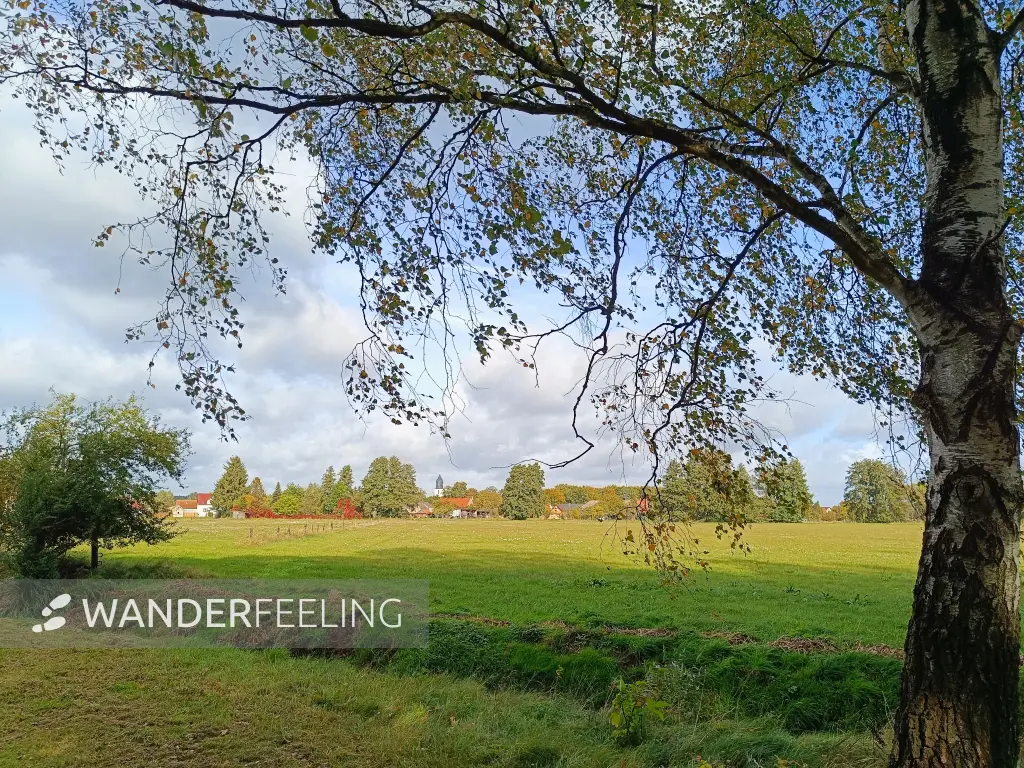 202610140-08 - Blick auf Gehren, Lausitz, Brandenburg, Deutschland