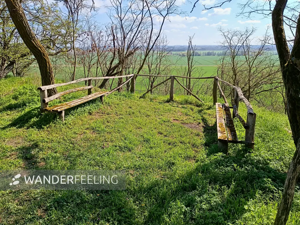 202604150-14 - Blick in das Oderbruch von den Wallbergen bei Reitwein, Seenland Oder-Spree, Brandenburg, Deutschland