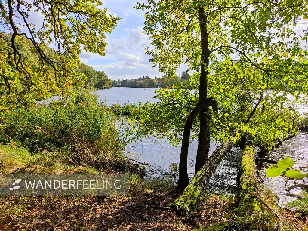 202310140-37 - Blick über den Griebnitzsee, Berlin, Deutschland