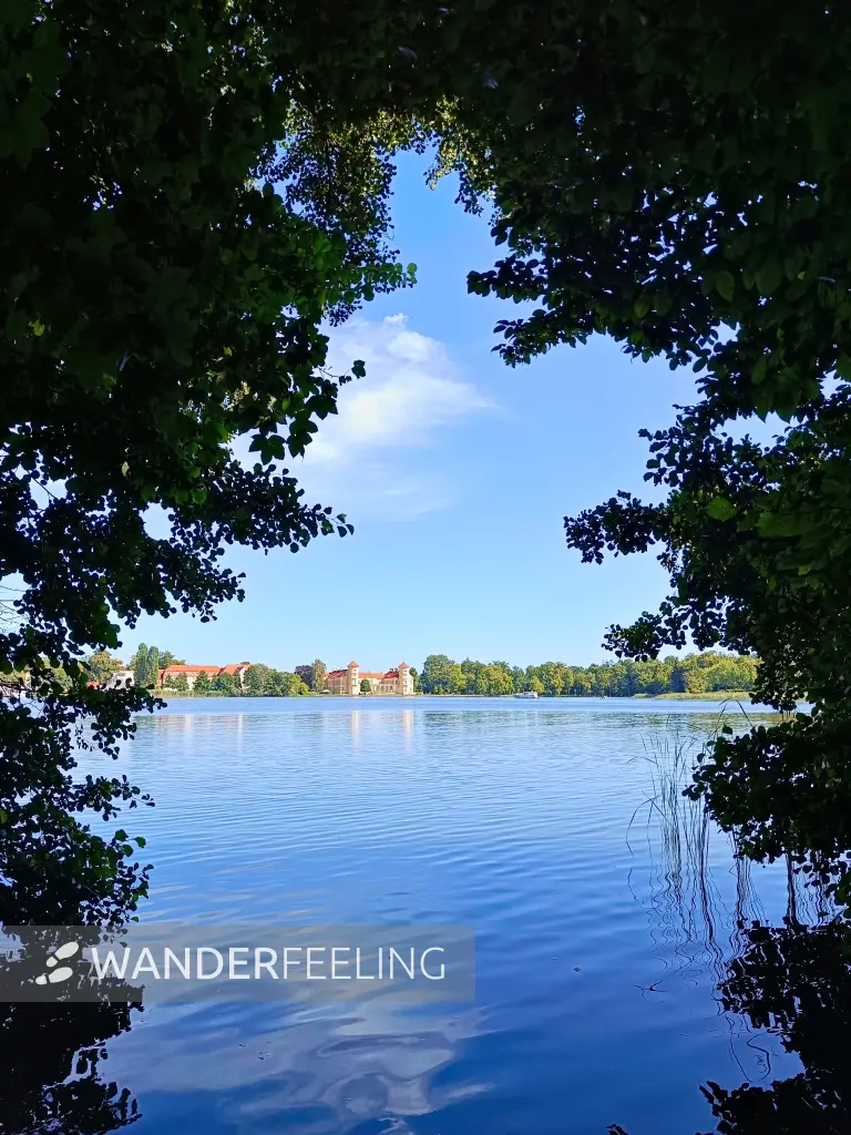 202508110-17 - Blick über den Grienericksee auf Schloss Rheinsberg, Ruppiner Seenland, Brandenburg, Deutschland